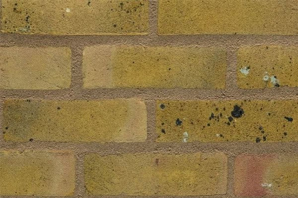 Smeed Dean Docklands Yellow Multi Brick Pack of 500 image 0