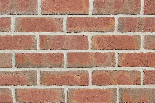 Crest Cardinal Red Multi Brick Pack of 540 image 0